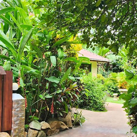 לה דיג Buisson Guesthouse מראה חיצוני תמונה