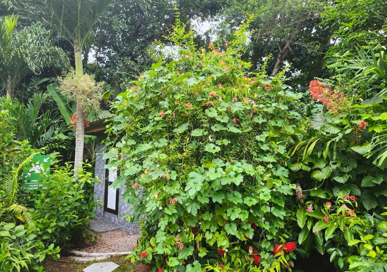 לה דיג Buisson Guesthouse מראה חיצוני תמונה
