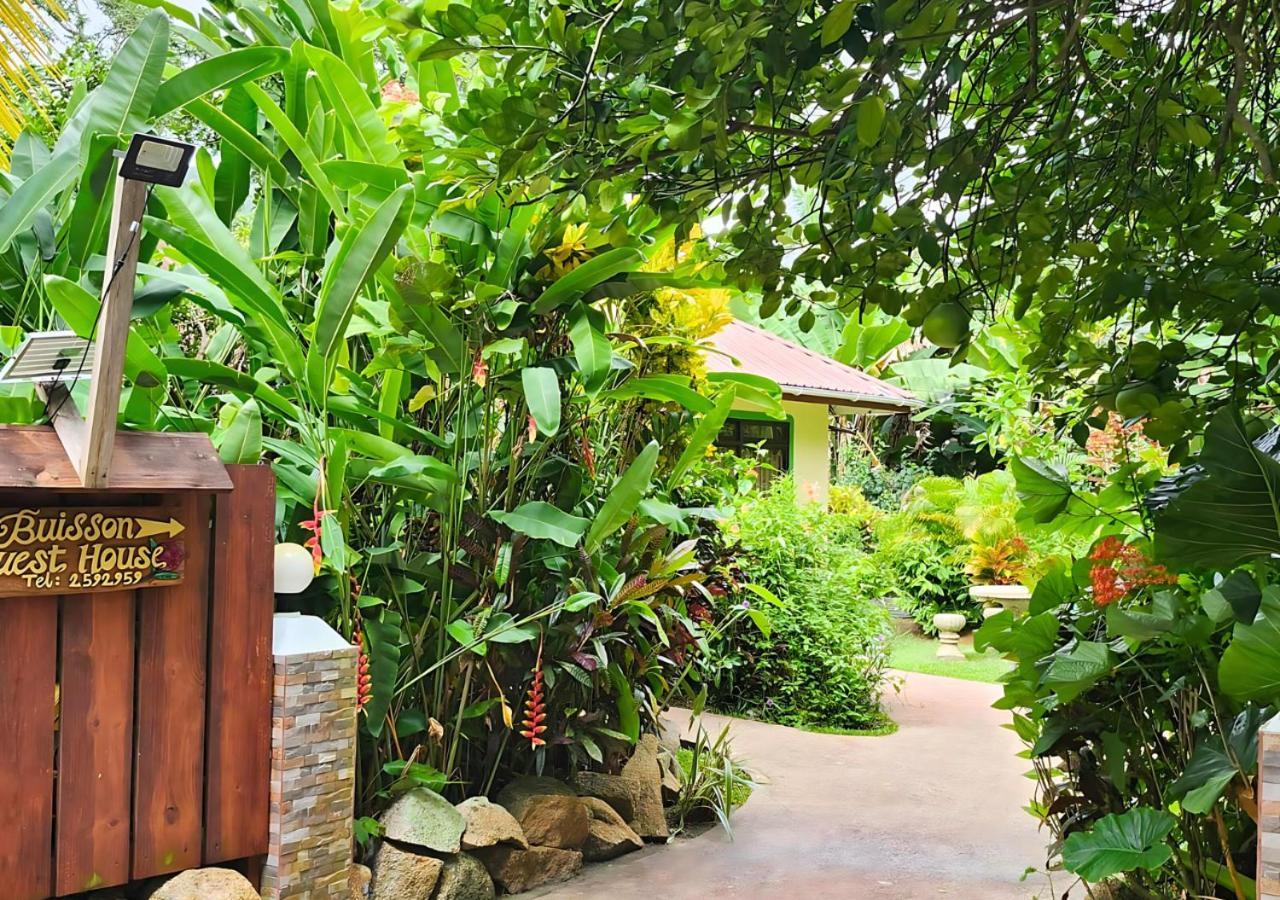 לה דיג Buisson Guesthouse מראה חיצוני תמונה